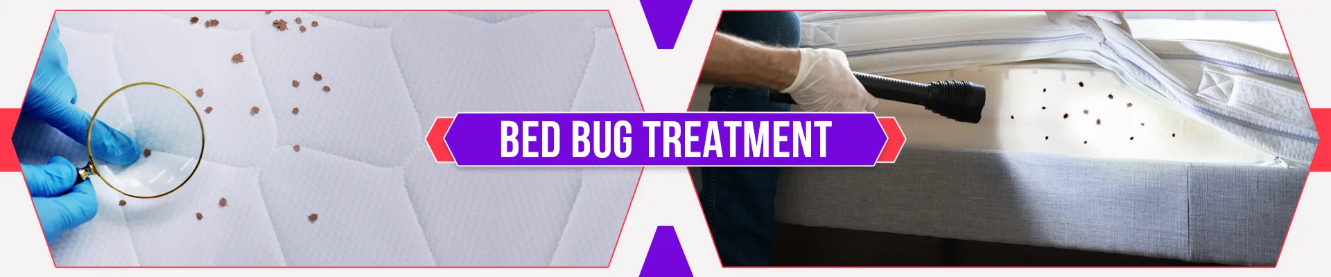 carpet cleaners in Brooklyn, carpet cleaning in Brooklyn, carpet cleaning bkln, carpet cleaners in brooklyn,  commercial carpet cleaning, commercial carpet cleaning in brooklyn,carpet cleaning in brooklyn,  brooklyn rug cleaners, rug cleaning services in brooklyn, same day carpet cleaning, same day rug cleaning