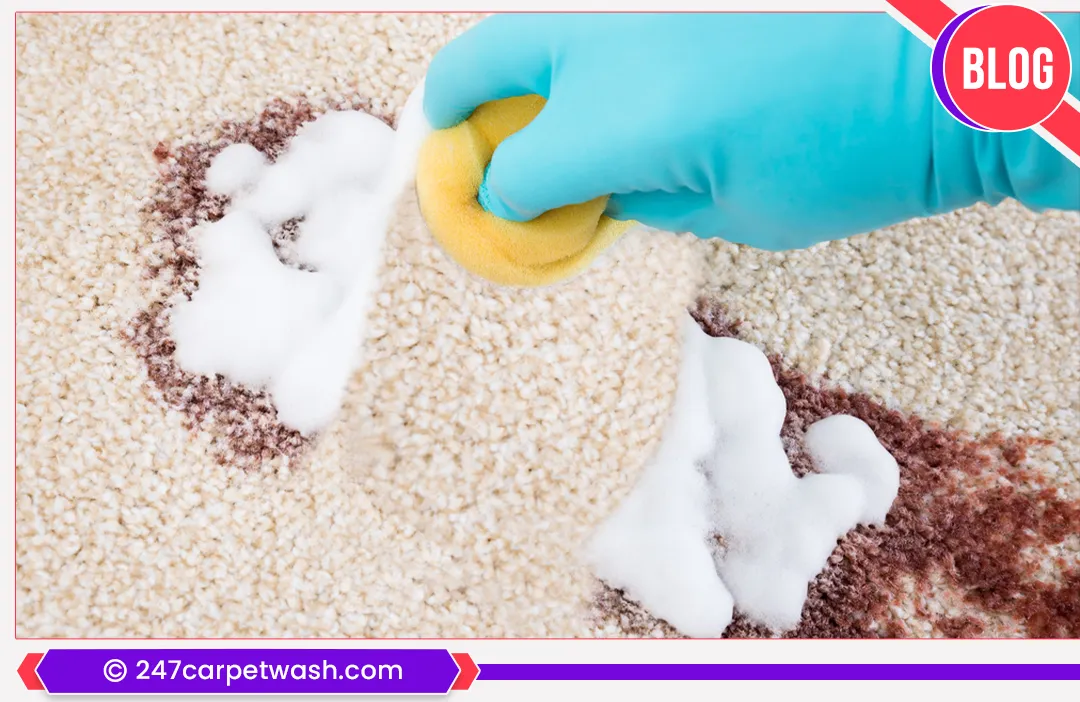 carpet cleaners in Brooklyn, carpet cleaning in Brooklyn, carpet cleaning bkln, carpet cleaners in brooklyn,  commercial carpet cleaning, commercial carpet cleaning in brooklyn,carpet cleaning in brooklyn,  brooklyn rug cleaners, rug cleaning services in brooklyn, same day carpet cleaning, same day rug cleaning