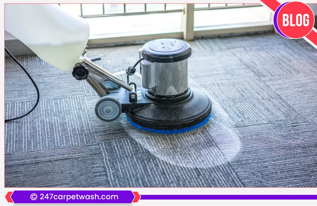 carpet cleaners in Brooklyn, carpet cleaning in Brooklyn, carpet cleaning bkln, carpet cleaners in brooklyn,  commercial carpet cleaning, commercial carpet cleaning in brooklyn,carpet cleaning in brooklyn,  brooklyn rug cleaners, rug cleaning services in brooklyn, same day carpet cleaning, same day rug cleaning