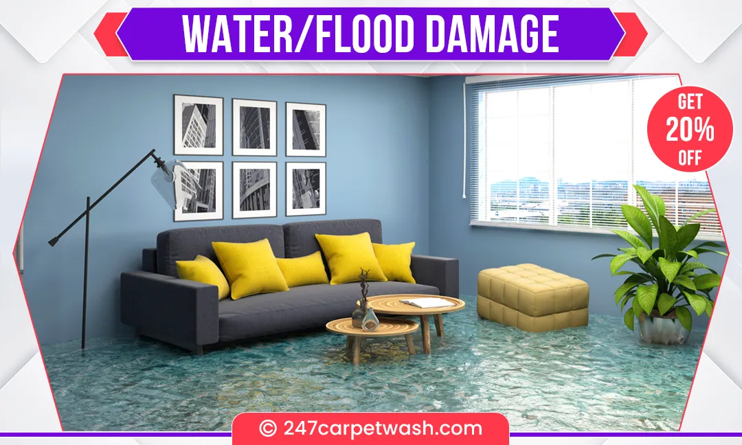 carpet cleaners in Brooklyn, carpet cleaning in Brooklyn, carpet cleaning bkln, carpet cleaners in brooklyn,  commercial carpet cleaning, commercial carpet cleaning in brooklyn,carpet cleaning in brooklyn,  brooklyn rug cleaners, rug cleaning services in brooklyn, same day carpet cleaning, same day rug cleaning