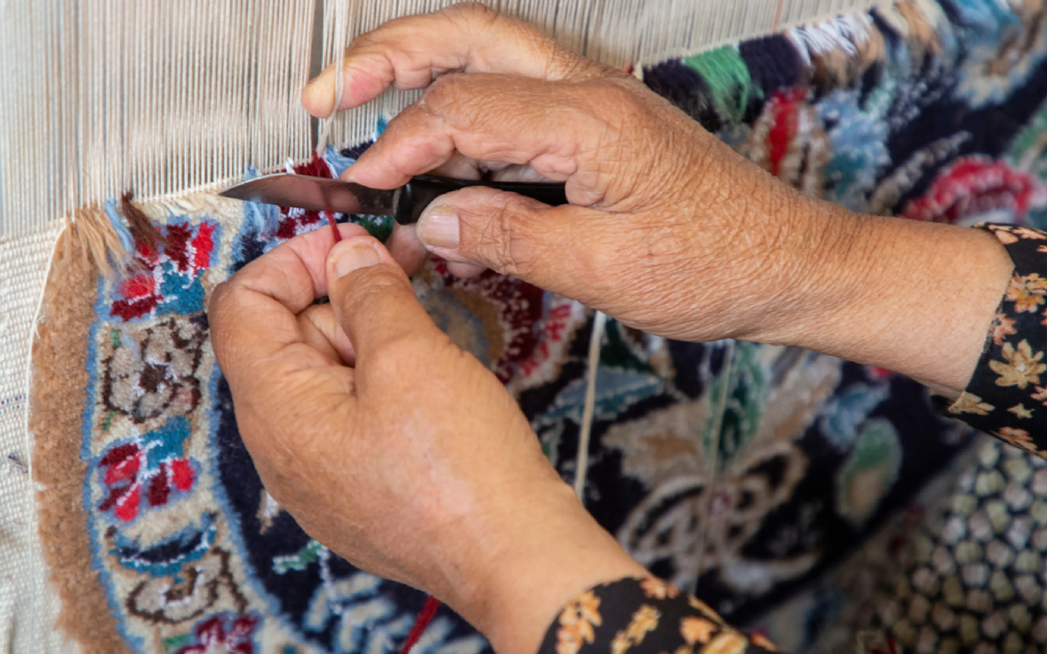 carpet cleaners in Brooklyn, carpet cleaning in Brooklyn, carpet cleaning bkln, carpet cleaners in brooklyn,  commercial carpet cleaning, commercial carpet cleaning in brooklyn,carpet cleaning in brooklyn,  brooklyn rug cleaners, rug cleaning services in brooklyn, same day carpet cleaning, same day rug cleaning