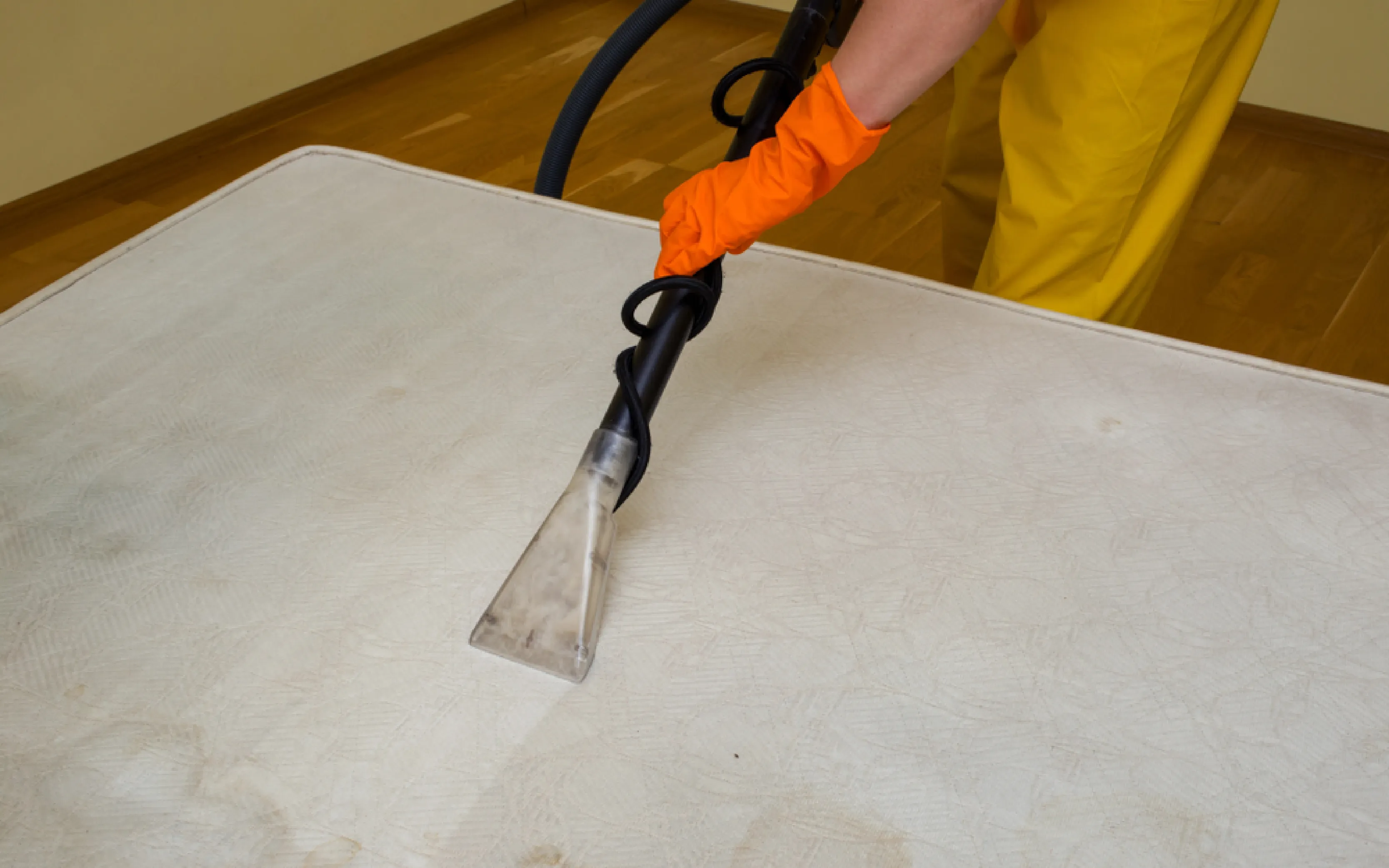 carpet cleaners in Brooklyn, carpet cleaning in Brooklyn, carpet cleaning bkln, carpet cleaners in brooklyn,  commercial carpet cleaning, commercial carpet cleaning in brooklyn,carpet cleaning in brooklyn,  brooklyn rug cleaners, rug cleaning services in brooklyn, same day carpet cleaning, same day rug cleaning