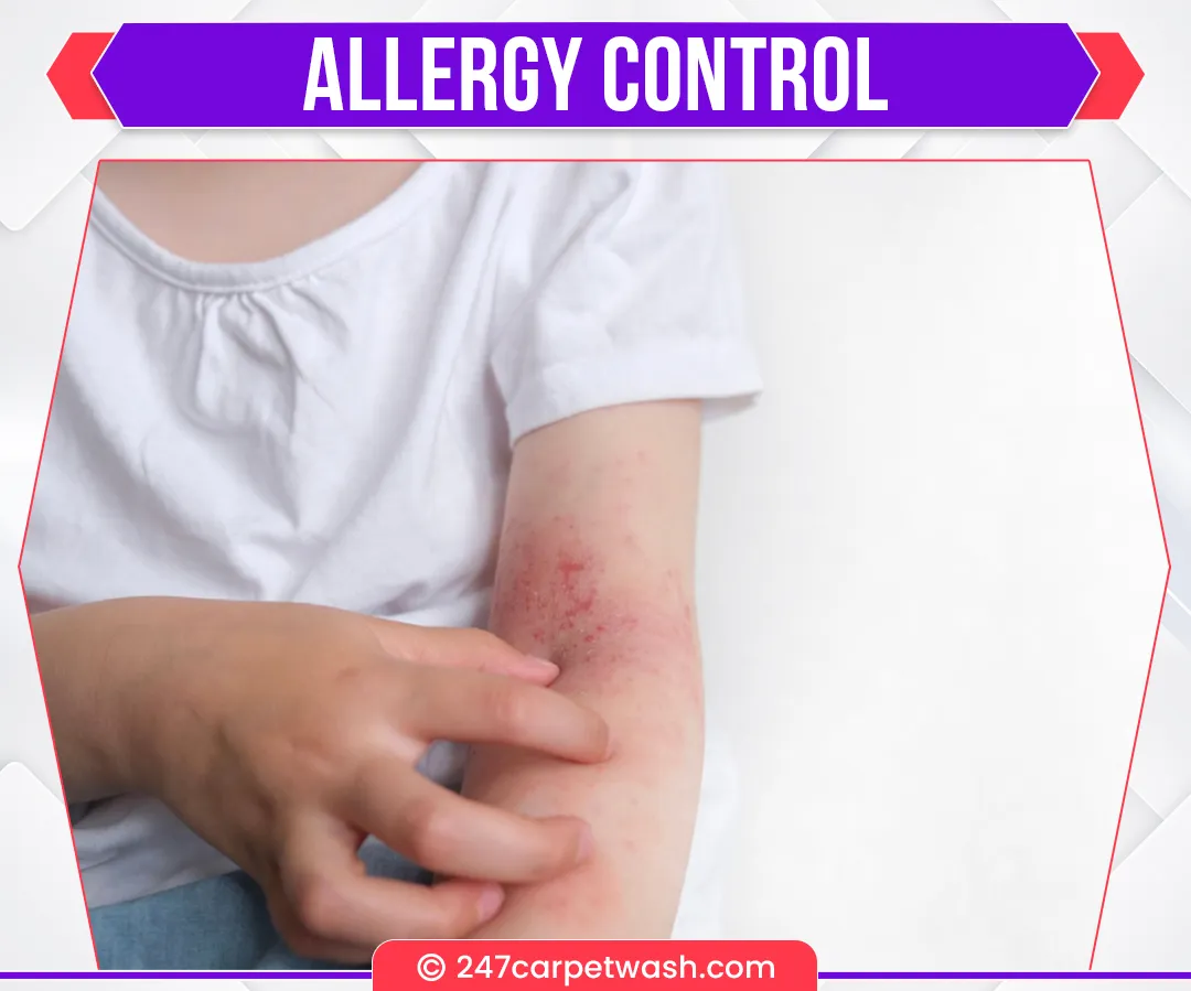 carpet cleaners in Brooklyn, carpet cleaning in Brooklyn, carpet cleaning bkln, carpet cleaners in brooklyn,  commercial carpet cleaning, commercial carpet cleaning in brooklyn,carpet cleaning in brooklyn,  brooklyn rug cleaners, rug cleaning services in brooklyn, same day carpet cleaning, same day rug cleaning