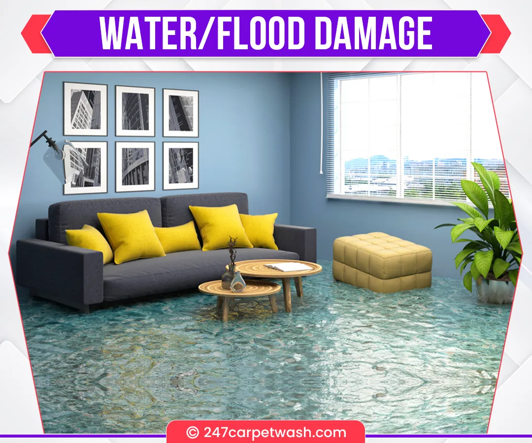 carpet cleaners in Brooklyn, carpet cleaning in Brooklyn, carpet cleaning bkln, carpet cleaners in brooklyn,  commercial carpet cleaning, commercial carpet cleaning in brooklyn,carpet cleaning in brooklyn,  brooklyn rug cleaners, rug cleaning services in brooklyn, same day carpet cleaning, same day rug cleaning